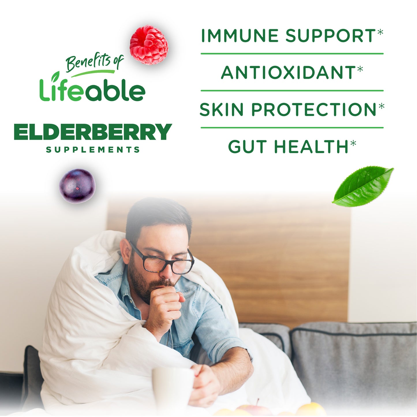 Sugar Free Elderberry Gummies
