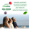 Lifeable Irish Sea Moss Gummies with Bladderwrack, Burdock Root and Ashwagandha, Thyroid Support for Men and Women, Berry Flavor, Vegan, Gluten Free, 60 Count