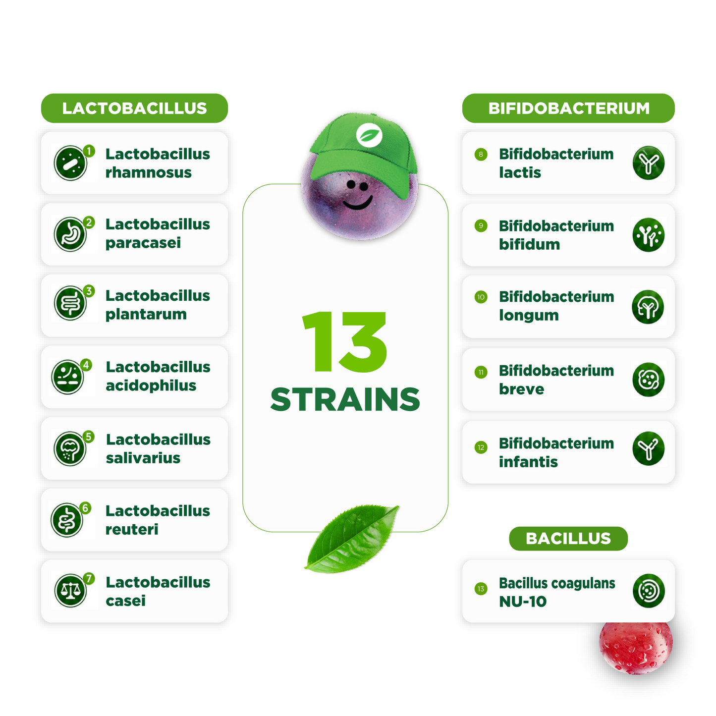 Lifeable Kids Pre Post Probiotic Gummies, 5 Billion 13 Strains, 90ct