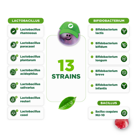 Lifeable Kids Pre Post Probiotic Gummies, 5 Billion 13 Strains, 90ct