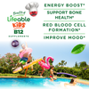 Vitamin B12 Gummies for Kids