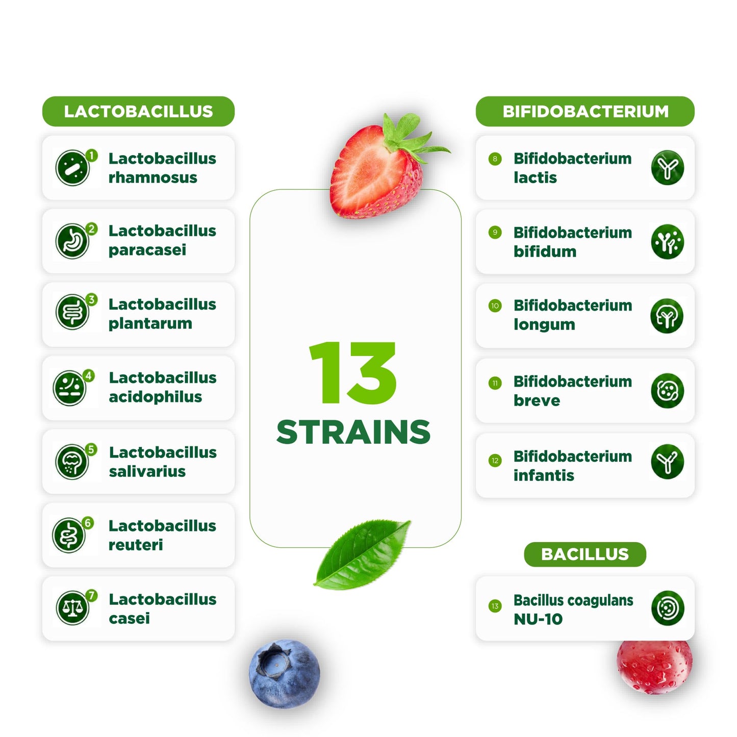 Pre Post Probiotic Gummies for Women and Men, 50 Billion 13 Strains, 60ct