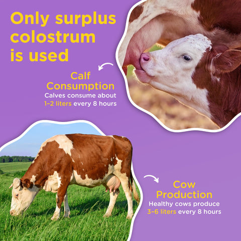 Bovine Colostrum Powder, 2000mg, 30% IgG, Unflavored, 30 Servings
