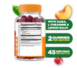 Stress Aid - with Gaba, L-Theanine & Lemon Balm Gummies