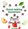 Sugar Free Elderberry Gummies for Kids