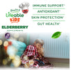 Sugar Free Elderberry Gummies for Kids