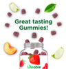 Sugar Free Elderberry Gummies