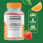 Digestive Gummy Vitamin Bundle for Adults